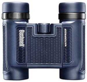 best binoculars for birding