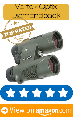 the best binoculars for birding